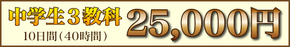 中学生3科講習費